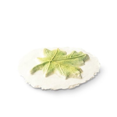 Leaf Token Biodegradable