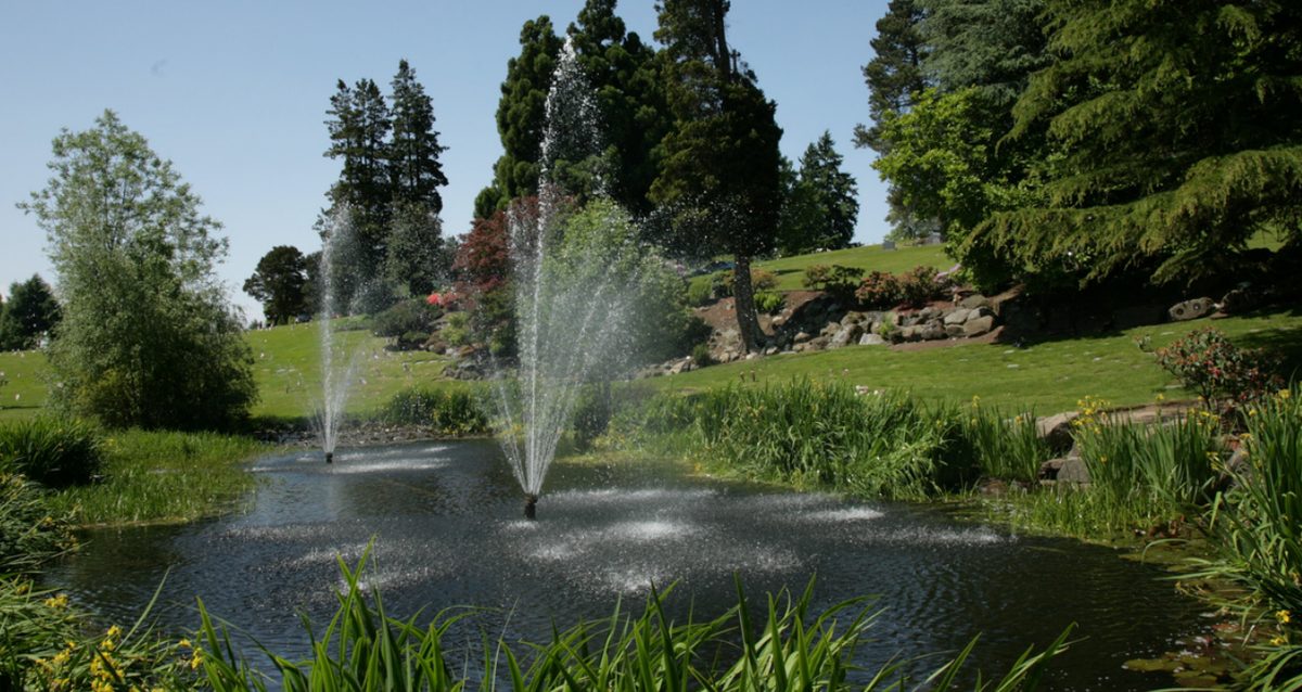 The pond and fountains at Washington Memorial Park, with lawns and evergreens on the hillside behind