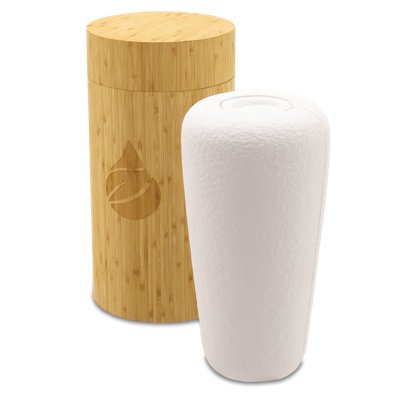 Product #282922