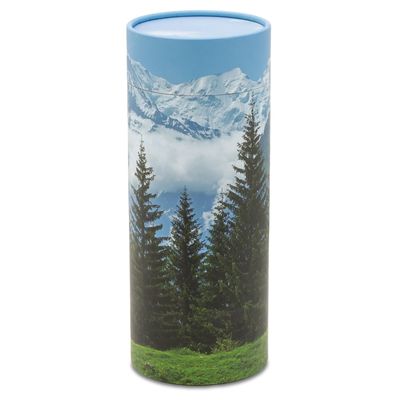 Product #282959